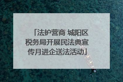 法护营商 城阳区税务局开展民法典宣传月进企送法活动