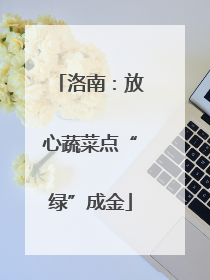 洛南：放心蔬菜点“绿”成金