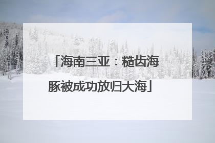 海南三亚：糙齿海豚被成功放归大海