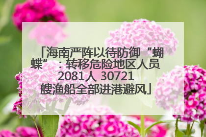 海南严阵以待防御“蝴蝶”：转移危险地区人员2081人 30721艘渔船全部进港避风