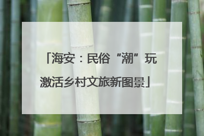 海安：民俗“潮”玩激活乡村文旅新图景