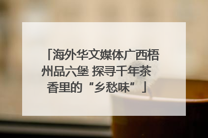 海外华文媒体广西梧州品六堡 探寻千年茶香里的“乡愁味”