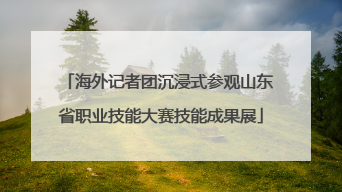 海外记者团沉浸式参观山东省职业技能大赛技能成果展