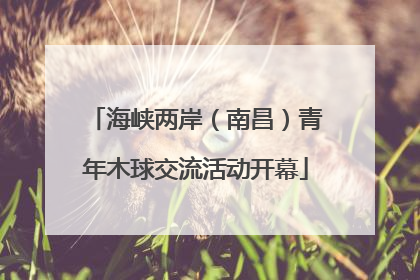 海峡两岸（南昌）青年木球交流活动开幕