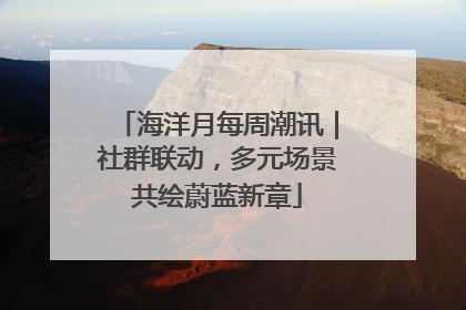 海洋月每周潮讯｜社群联动，多元场景共绘蔚蓝新章