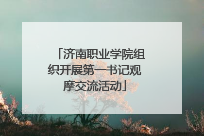 济南职业学院组织开展第一书记观摩交流活动