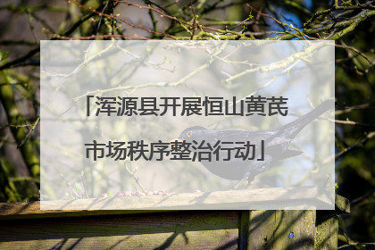 浑源县开展恒山黄芪市场秩序整治行动