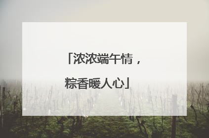 浓浓端午情，粽香暖人心