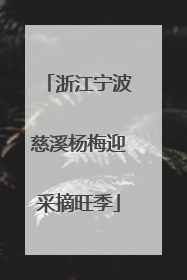 浙江宁波慈溪杨梅迎采摘旺季