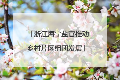 浙江海宁盐官推动乡村片区组团发展