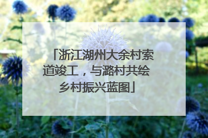浙江湖州大余村索道竣工，与潞村共绘乡村振兴蓝图