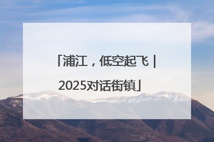 浦江，低空起飞｜2025对话街镇