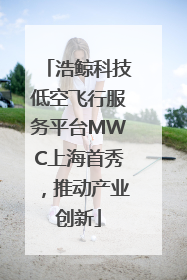 浩鲸科技低空飞行服务平台MWC上海首秀，推动产业创新
