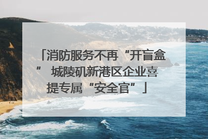 消防服务不再“开盲盒” 城陵矶新港区企业喜提专属“安全官”