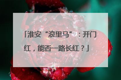 淮安“浪里马”：开门红，能否一路长红？