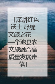 深耕红色沃土 尽绽文旅之花——华池县农文旅融合高质量发展走笔