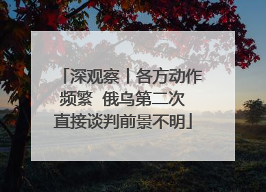 深观察丨各方动作频繁  俄乌第二次直接谈判前景不明
