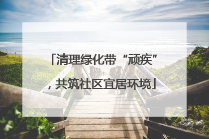 清理绿化带“顽疾”，共筑社区宜居环境