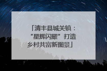 清丰县城关镇：“星辉闪耀”打造乡村共富新图景