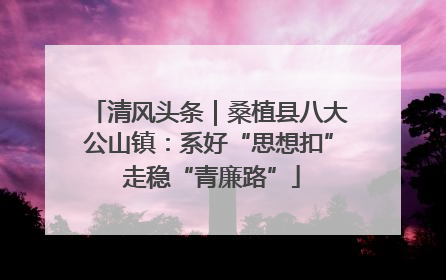 清风头条｜桑植县八大公山镇：系好“思想扣” 走稳“青廉路”