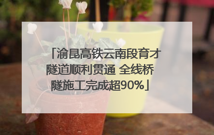 渝昆高铁云南段育才隧道顺利贯通 全线桥隧施工完成超90%