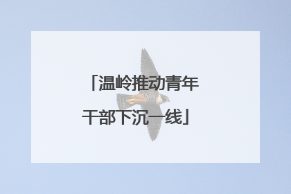 温岭推动青年干部下沉一线