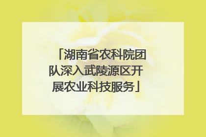 湖南省农科院团队深入武陵源区开展农业科技服务