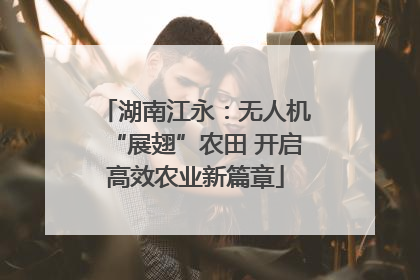 湖南江永：无人机“展翅”农田 开启高效农业新篇章