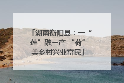 湖南衡阳县：一“莲”融三产 “荷”美乡村兴业富民