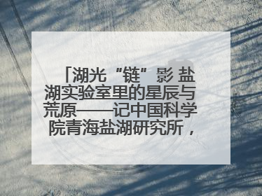 湖光“链”影 盐湖实验室里的星辰与荒原——记中国科学院青海盐湖研究所，盐湖资源化学实验室党总支书记、副主任刘忠