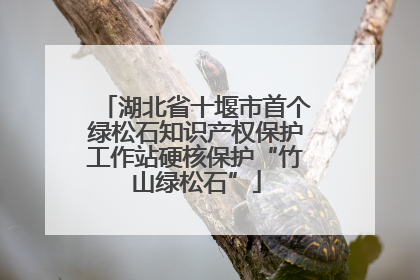 湖北省十堰市首个绿松石知识产权保护工作站硬核保护“竹山绿松石”