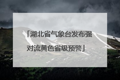 湖北省气象台发布强对流黄色省级预警
