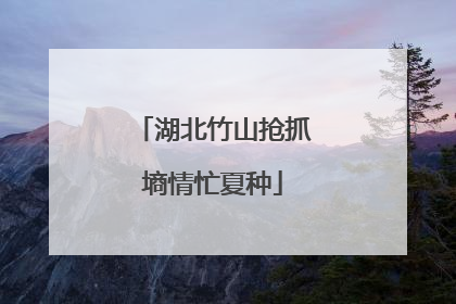 湖北竹山抢抓墒情忙夏种