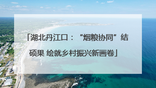 湖北丹江口：“烟粮协同”结硕果 绘就乡村振兴新画卷