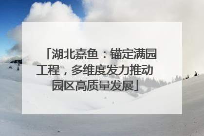 湖北嘉鱼：锚定满园工程，多维度发力推动园区高质量发展