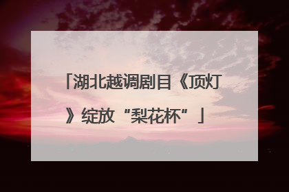 湖北越调剧目《顶灯》绽放“梨花杯”