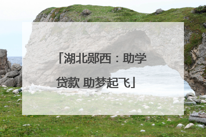 湖北郧西：助学贷款 助梦起飞