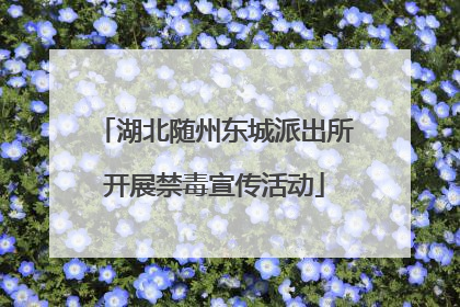 湖北随州东城派出所开展禁毒宣传活动