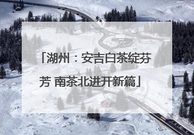 湖州：安吉白茶绽芬芳 南茶北进开新篇