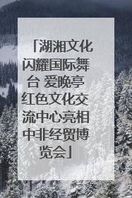 湖湘文化闪耀国际舞台 爱晚亭红色文化交流中心亮相中非经贸博览会