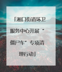 湘口街道环卫服务中心开展“僵尸车”专项清理行动