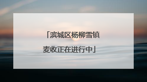 滨城区杨柳雪镇麦收正在进行中
