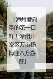 漳州港夏季的第一口鲜！漳州开发区万亩杨梅迎八方游客