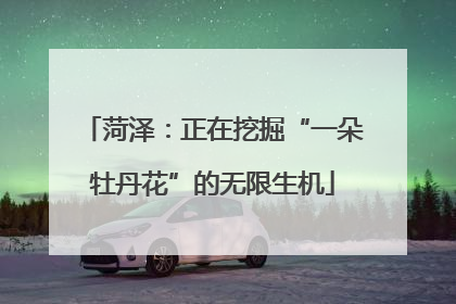 菏泽：正在挖掘“一朵牡丹花”的无限生机