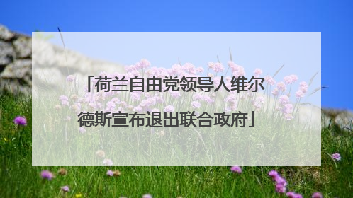 荷兰自由党领导人维尔德斯宣布退出联合政府