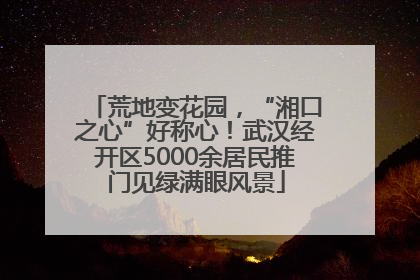 荒地变花园，“湘口之心”好称心！武汉经开区5000余居民推门见绿满眼风景