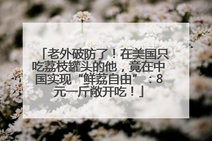 老外破防了！在美国只吃荔枝罐头的他，竟在中国实现“鲜荔自由”：8元一斤敞开吃！