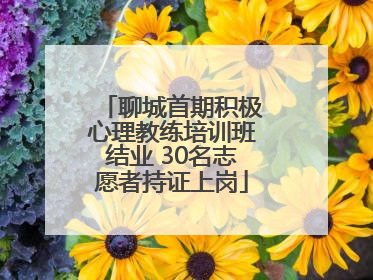 聊城首期积极心理教练培训班结业 30名志愿者持证上岗
