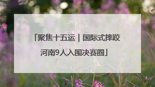 聚焦十五运｜国际式摔跤 河南9人入围决赛圈