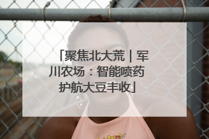 聚焦北大荒｜军川农场：智能喷药护航大豆丰收